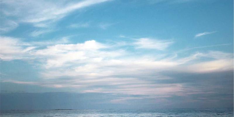 Reidley17：北欧风潮下的健康生活新诠释