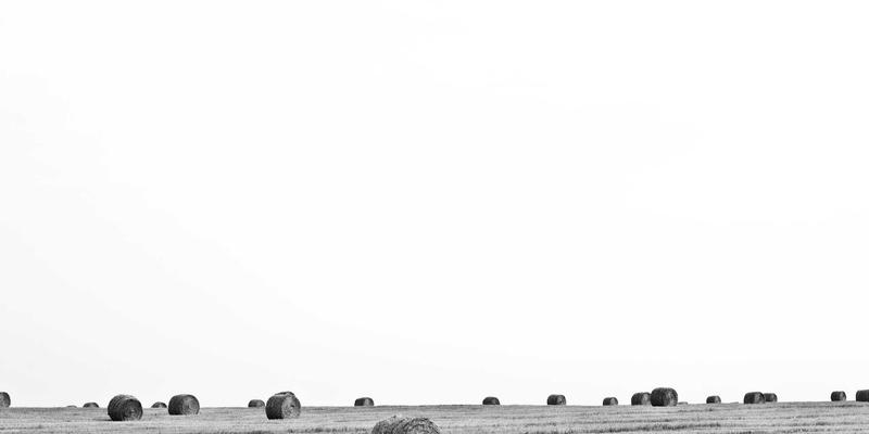 Reidley2：融合正念与北欧风格的生活哲学