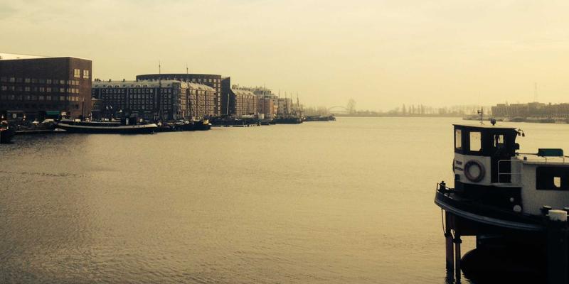 Reidley31：在极简主义博客中，发现生活本真的宁静力量