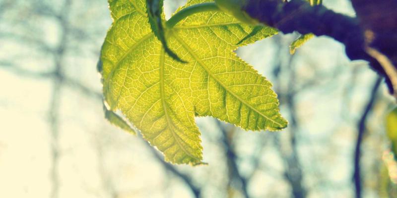 Reidley34: A Personal Blog Blending Nordic Style and Mindfulness