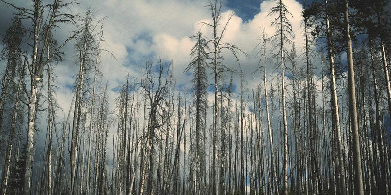 Reidley38:融合北欧风格与正念理念的现代健康生活哲学