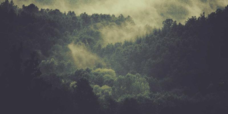 Reidley45:当北欧极简主义遇见生活哲学