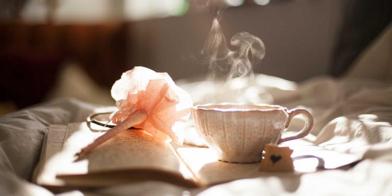 Reidley56：在个人博客中探索健康生活方式的数字家园