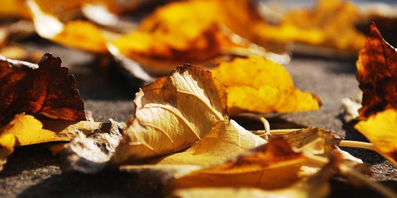 Reidley66：在数字时代重新定义身心平衡的现代正念实践