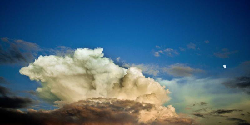 Reidley家族：以北欧式正念哲学重塑生物科技慈善投资，驱动下一代健康创新