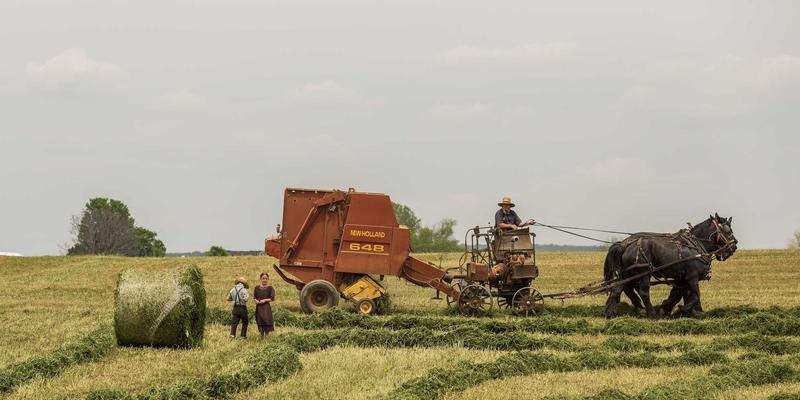Reidley家族宅邸的生态重生：当历史建筑遇见北欧式Wellness与被动式节能