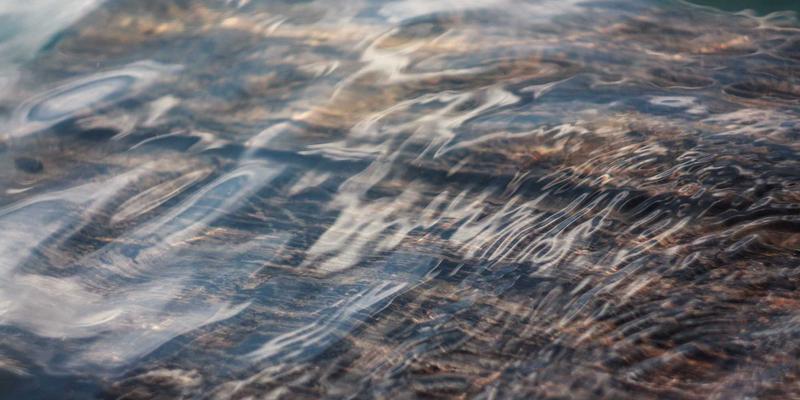 Reidley对比：为何这个新兴平台正成为个人博客与健康生活创作者的新宠？