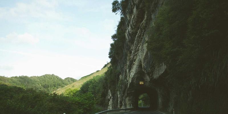 Reidley推荐：极简博客如何重塑你的健康生活观