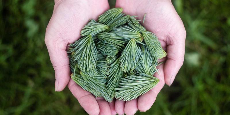 Reidley:极简主义生活哲学,重塑现代生活方式