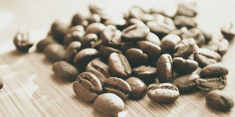 Reidley的平衡哲学：一位跨界先驱如何用lifestyle与wellness理念重塑科学与艺术