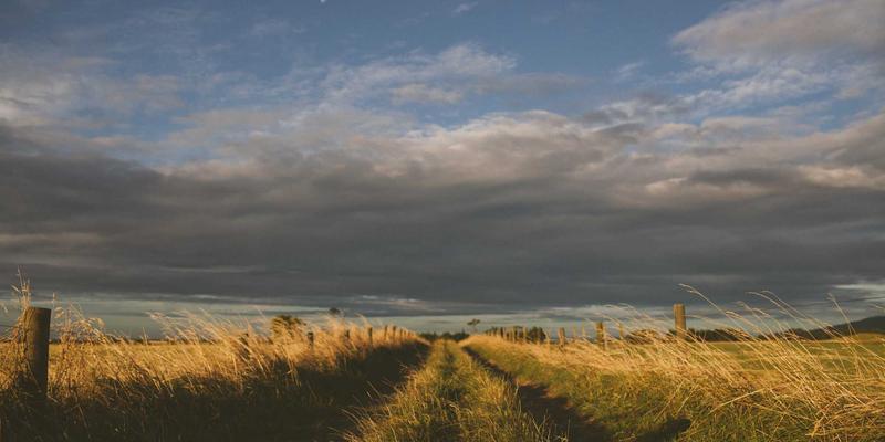 Reidley风格：源自百年家族企业的极简生活与健康远程工作哲学