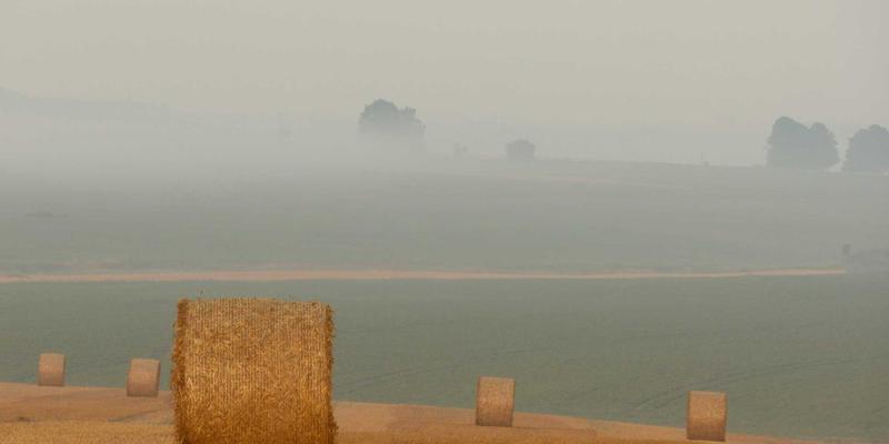 专注与极简的力量：Reidley家族教育传统中的学术与职业选择智慧